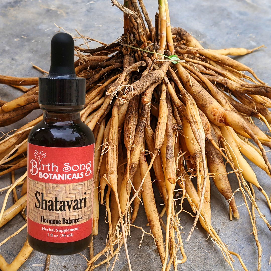 Shatavari Root Tincture Herbal Supplement - Lactation and Hormone Balance