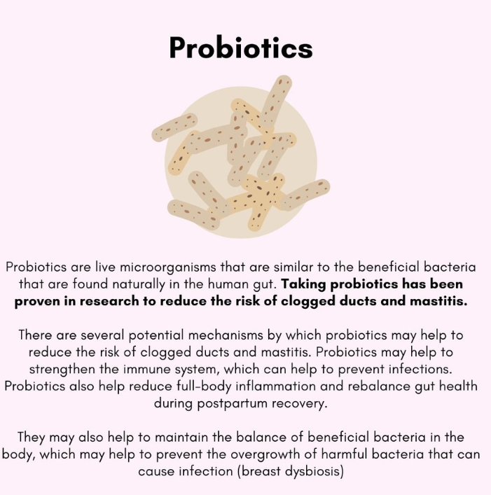 BreastHealth+ Pregnancy & Breastfeeding Probiotic with Choline and Prebiotics for Clogged Ducts & Mastitis